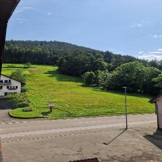 Hotel Schwanen fotoÄŸrafÄ±