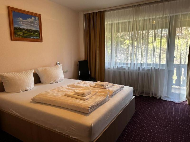 Hotel Schwanen - Genel