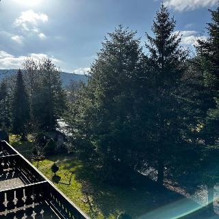 Hotel Schwanen fotoÄŸrafÄ±