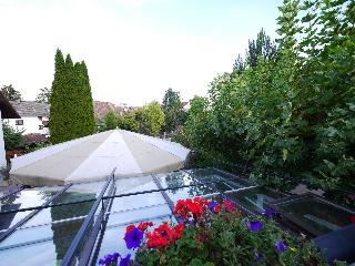 Bodensee Hotel Storchen fotoÄŸrafÄ±