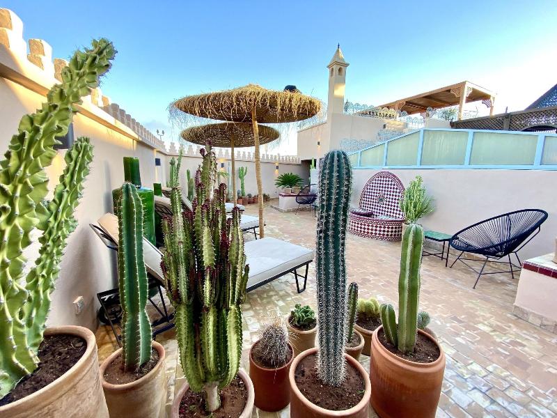 Riad Zamane - Teras