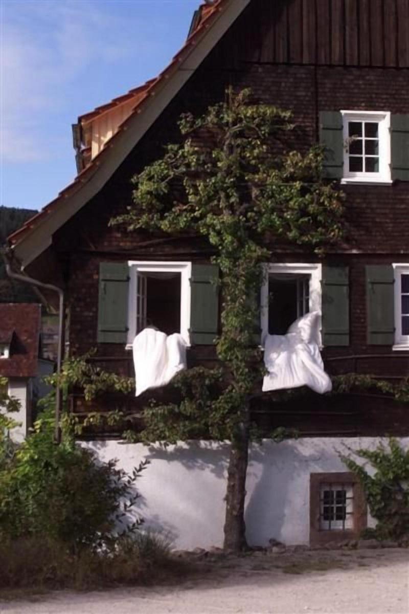 Waldknechtshof - Genel