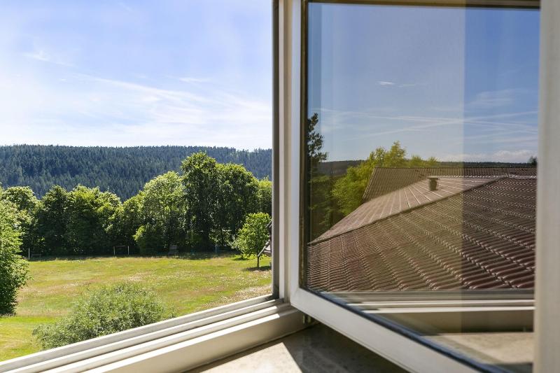 Hotel Schwarzwald Freudenstadt - Oda