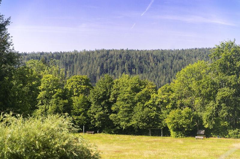 Hotel Schwarzwald Freudenstadt - Oda