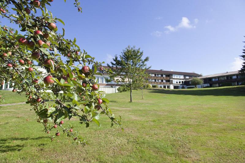 Hotel Schwarzwald Freudenstadt - Teras