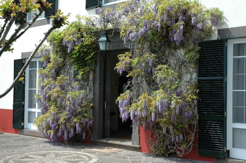 Quinta da Bela Vista - Lobi