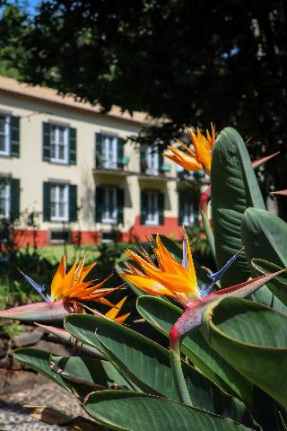 Quinta da Bela Vista fotoÄŸrafÄ±