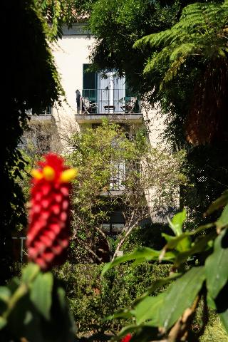 Quinta da Bela Vista fotoÄŸrafÄ±