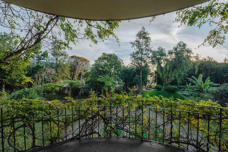 Quinta da Bela Vista - Teras