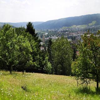 Roomingtons Hotel Franziskushöhe Lohr fotoÄŸrafÄ±