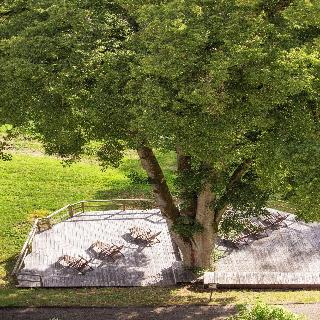 Roomingtons Hotel Franziskushöhe Lohr fotoÄŸrafÄ±