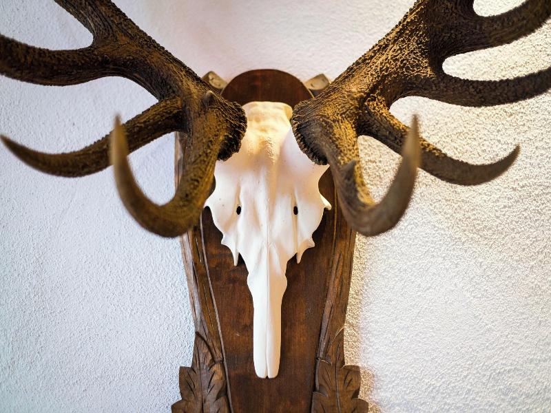 Relais du Silence Naturparkhotel Adler - Lobi