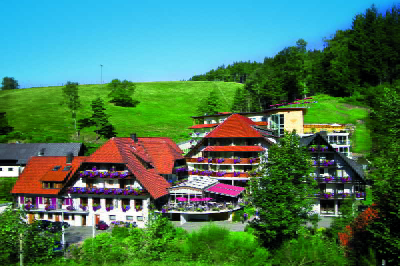 Relais du Silence Naturparkhotel Adler fotoÄŸrafÄ±
