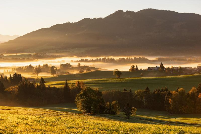 Die Mittelburg - Aktivite