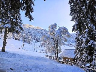 Nockalm fotoÄŸrafÄ±