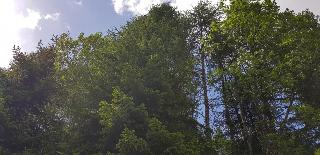Nockalm fotoÄŸrafÄ±