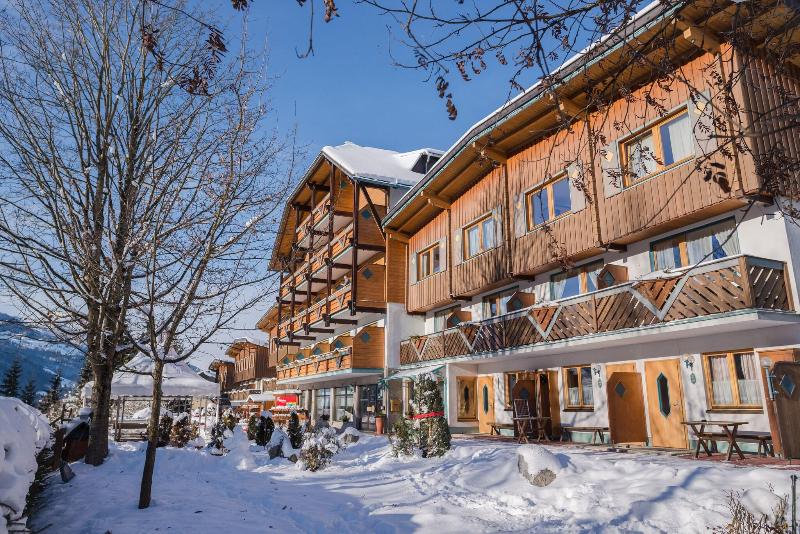 Ferienalm Schladming - Genel