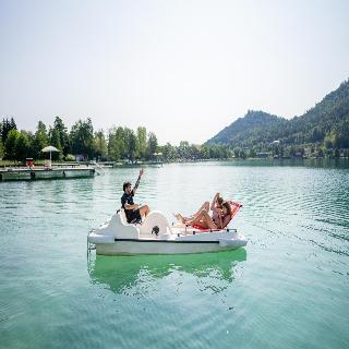Amerika-Holzer fotoÄŸrafÄ±