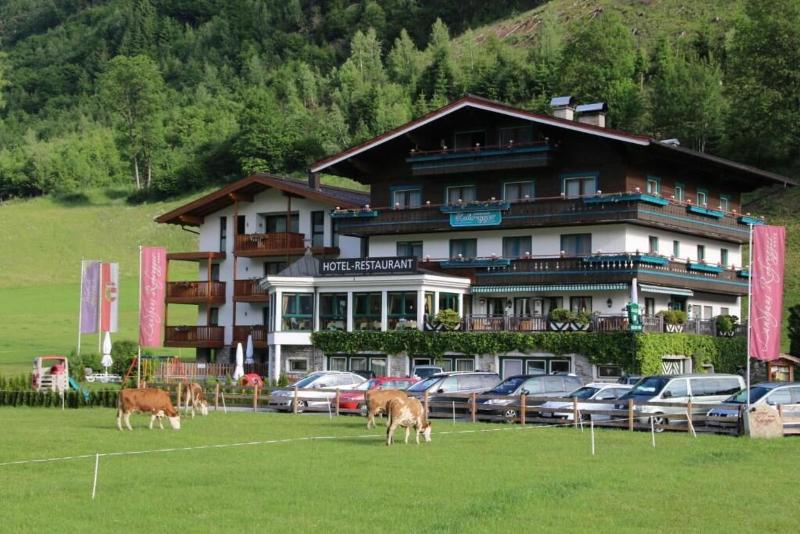 Landhaus Rohregger - Genel