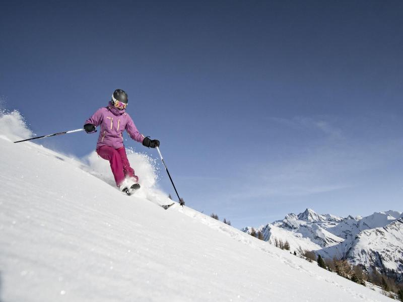 AlpenParks Jugend & Familienhotel Matrei - Aktivite