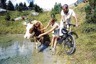 Aparthotel Dorfplatzl Garni fotoÄŸrafÄ±