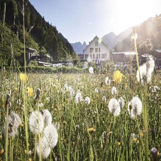Design- & Boutiquehotel Wiesergut fotoÄŸrafÄ±