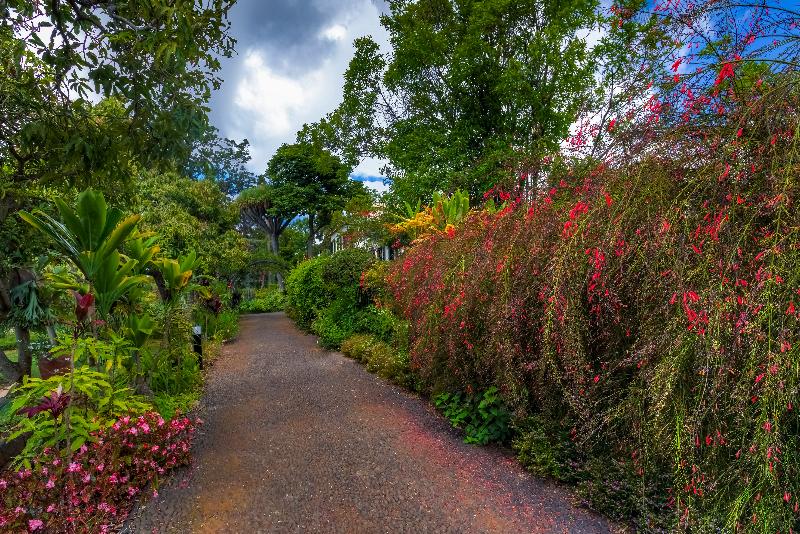 Quinta Jardins do Lago - Genel
