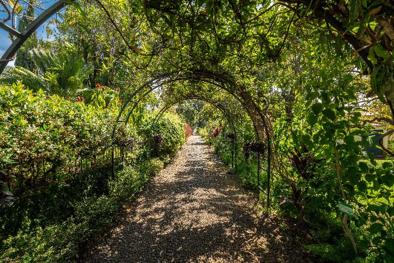 Quinta Jardins do Lago - Genel