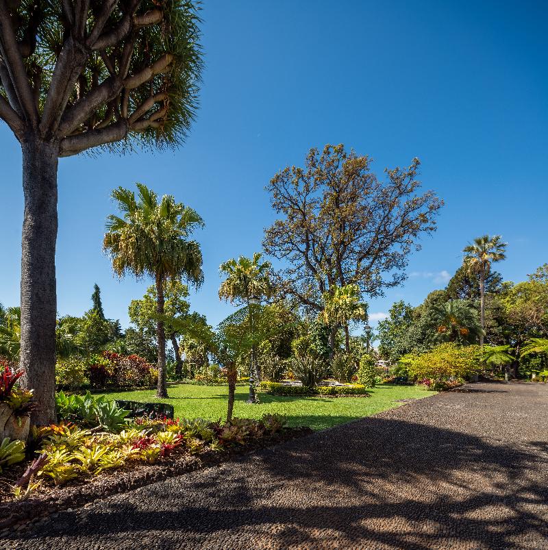 Quinta Jardins do Lago - Genel