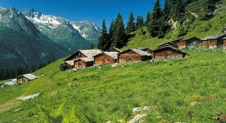 Alpenkönigin fotoÄŸrafÄ±