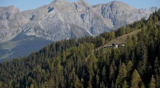 Alpenkönigin fotoÄŸrafÄ±