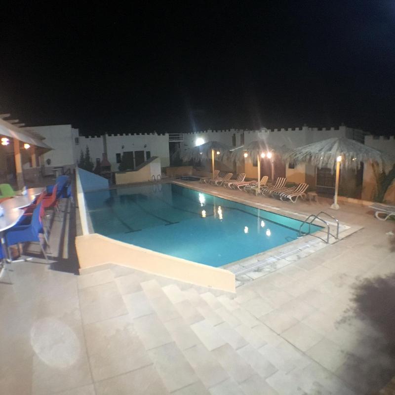 Red Sea Dive Center - Hotel & Dive Center - Aktivite