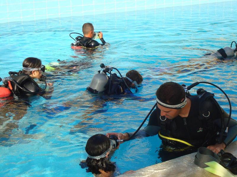 Red Sea Dive Center - Hotel & Dive Center - Aktivite
