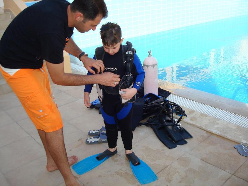 Red Sea Dive Center - Hotel & Dive Center - Aktivite