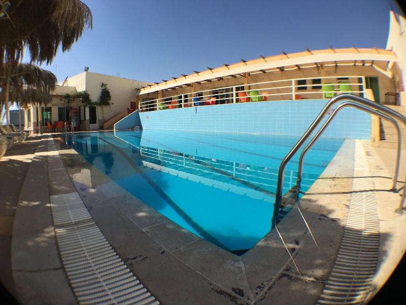 Red Sea Dive Center - Hotel & Dive Center - Aktivite