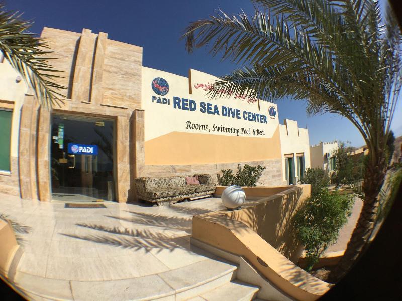 Red Sea Dive Center - Hotel & Dive Center - Genel
