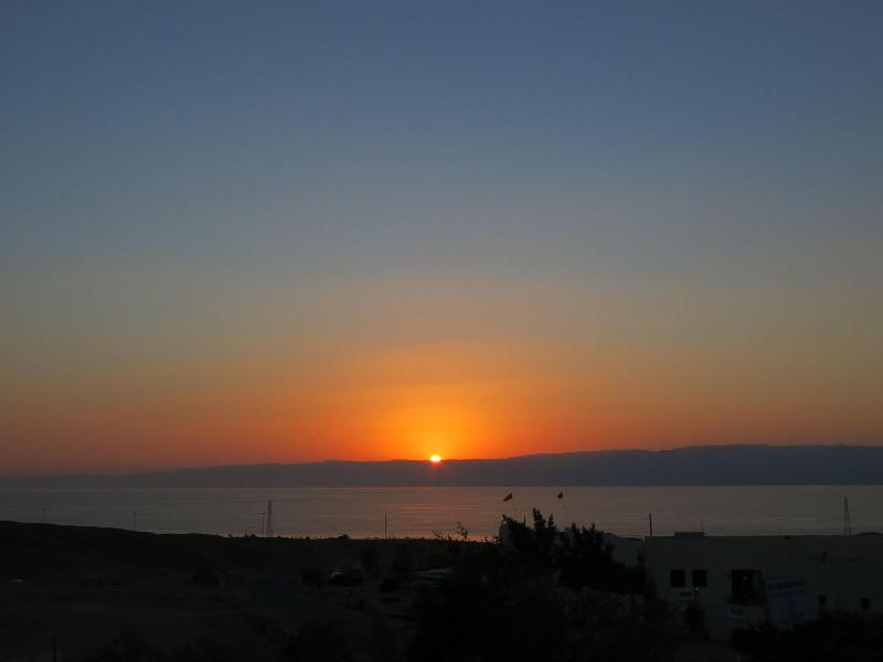 Red Sea Dive Center - Hotel & Dive Center - Teras