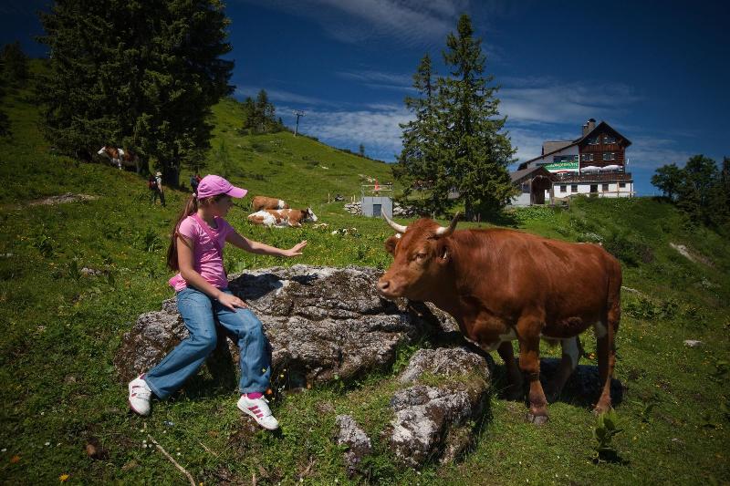 Dachstein West Sporthotel - Aktivite