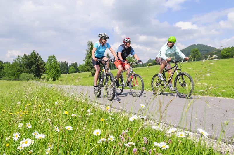 AlpenSchlössl in Söll/Tirol - Aktivite