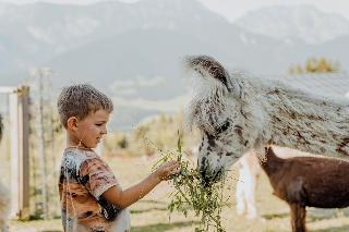 Natur & Wellnesshotel Höflehner fotoÄŸrafÄ±