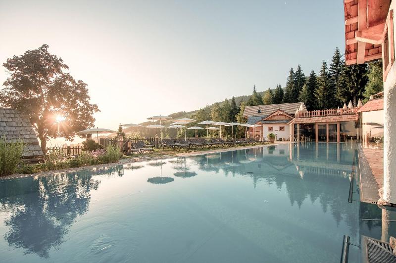 Natur & Wellnesshotel Höflehner - Havuz