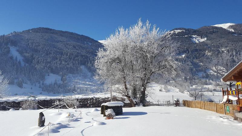 Haus Katharina - Genel