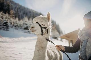 Alte Post fotoÄŸrafÄ±