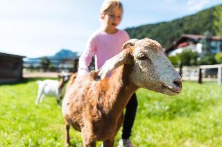 Seehof fotoÄŸrafÄ±
