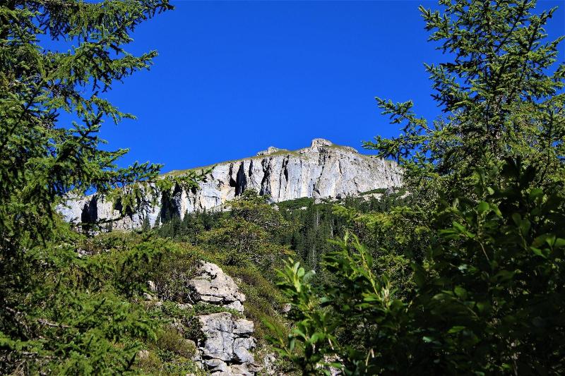 Sport- & Familienhotel Riezlern - Aktivite