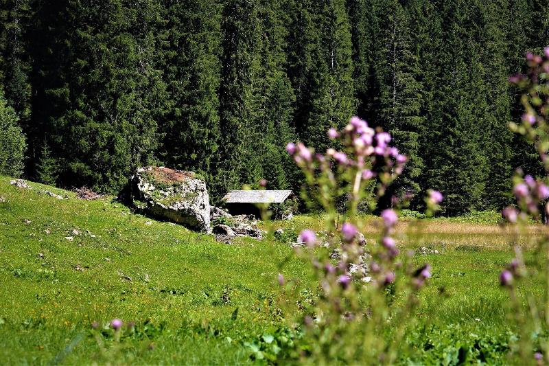 Sport- & Familienhotel Riezlern - Aktivite