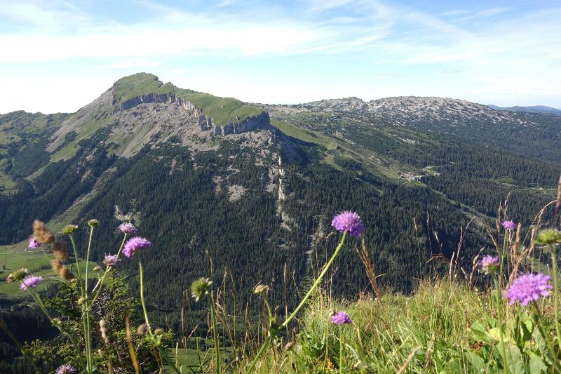 Sport- & Familienhotel Riezlern - Aktivite