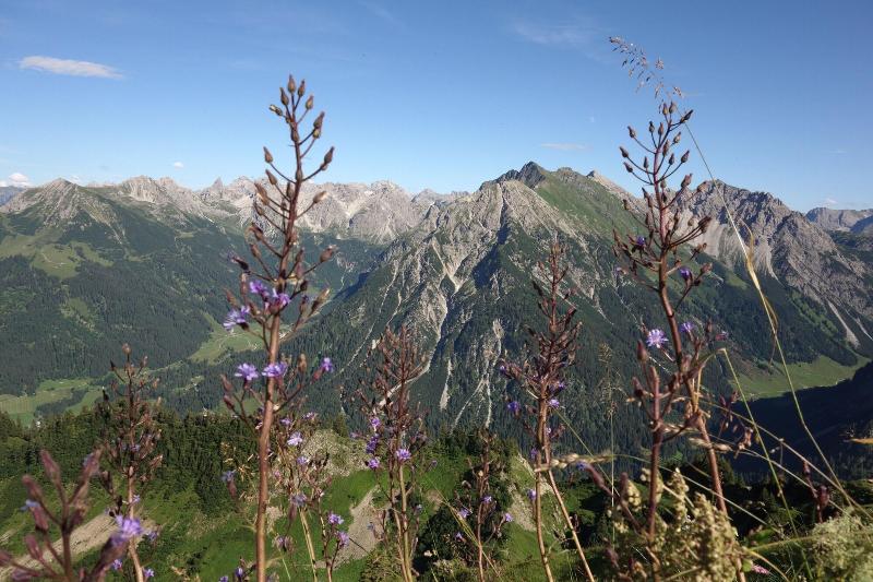 Sport- & Familienhotel Riezlern - Aktivite