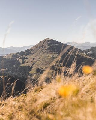 Postwirt fotoÄŸrafÄ±