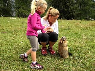 Hanneshof Resort - Bischofsmütze fotoÄŸrafÄ±